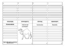 Faltbuch-Steckbrief-Dromedar-3.pdf